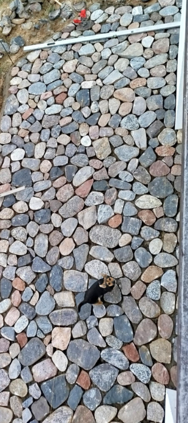 Usługi kamieniarstwa artystycznego Szczytno Oferujemy usługi z kamienia polnego, łupanego i ciętego. Wykonujemy takie usługi jak wjazdy, tarasy, ogrodznia, zabudowa ziemianek, fundamenty itp.